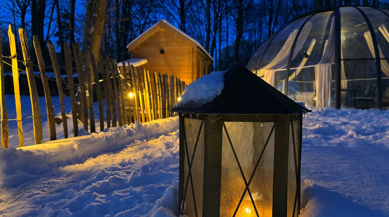 Happy winter