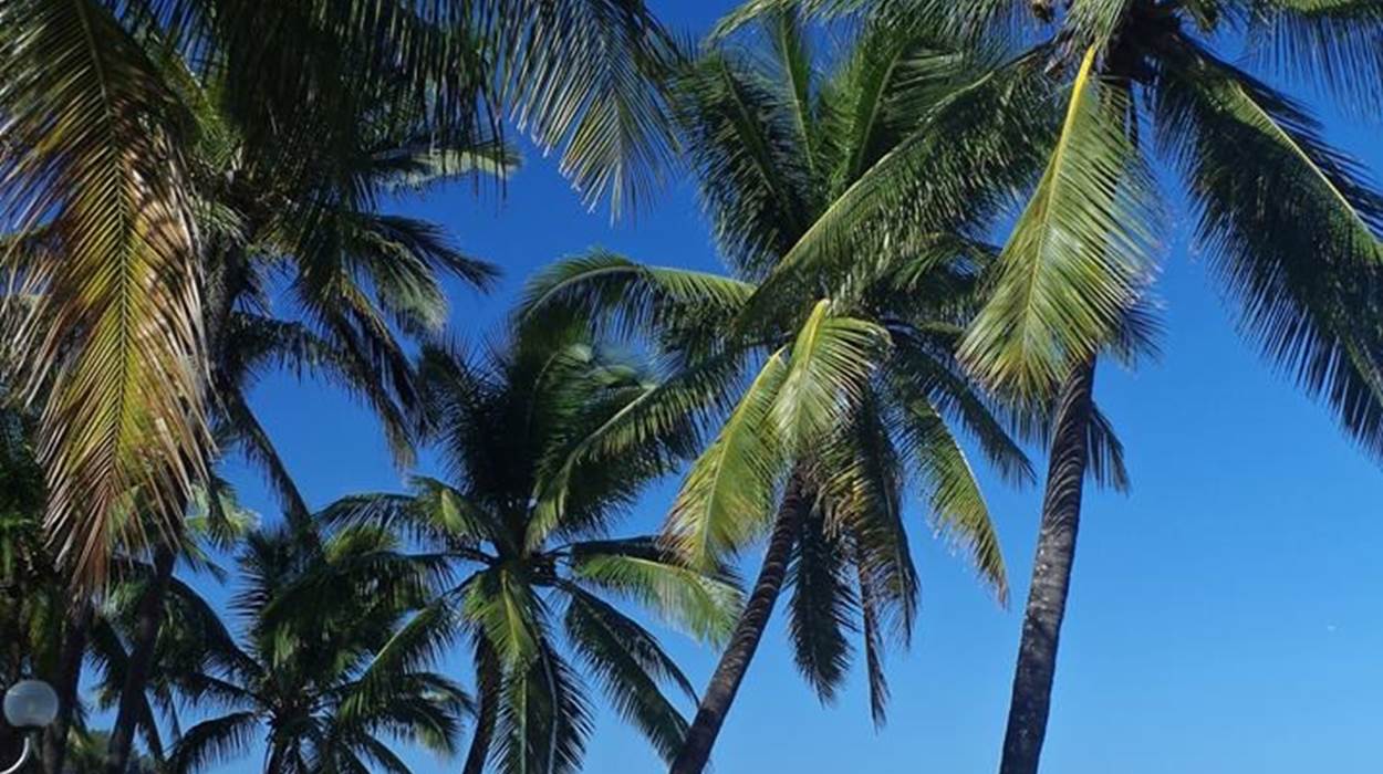 plage de grand anse