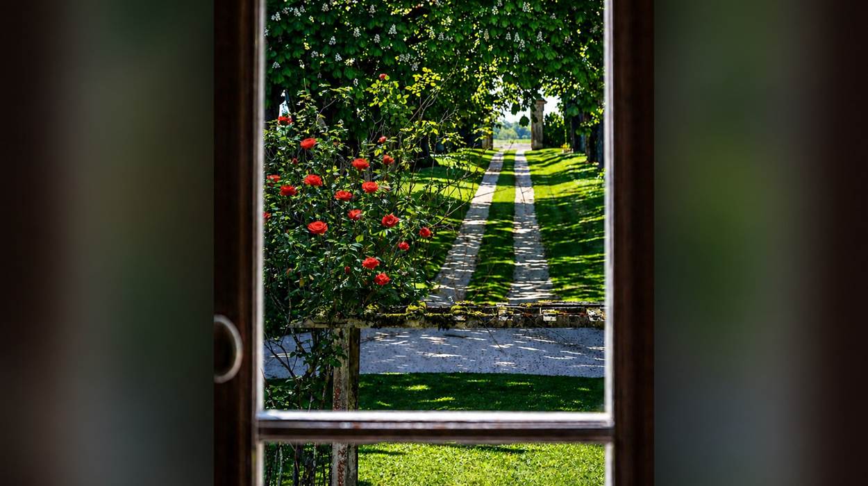 Sous les arbres centenaires commence l’arrivée au château.