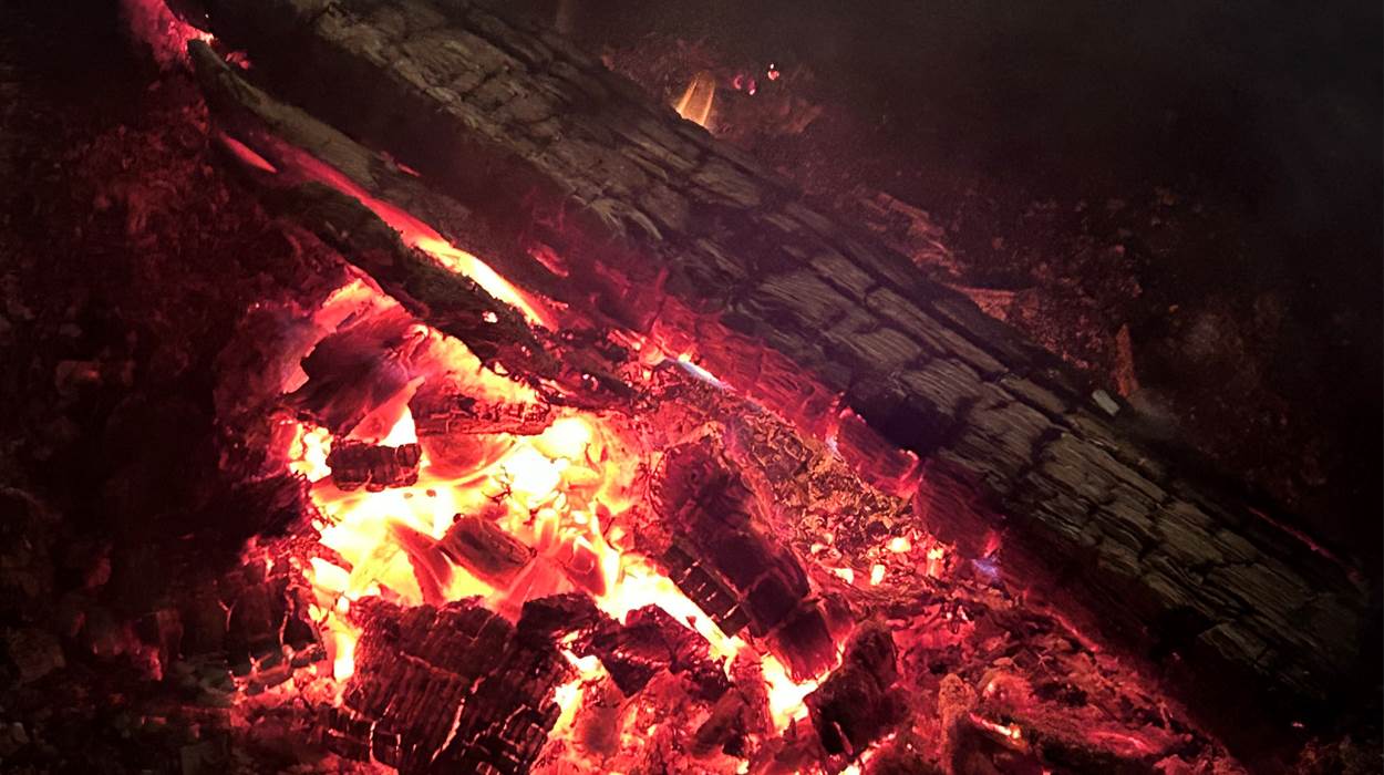Feu de bois pour chamallows