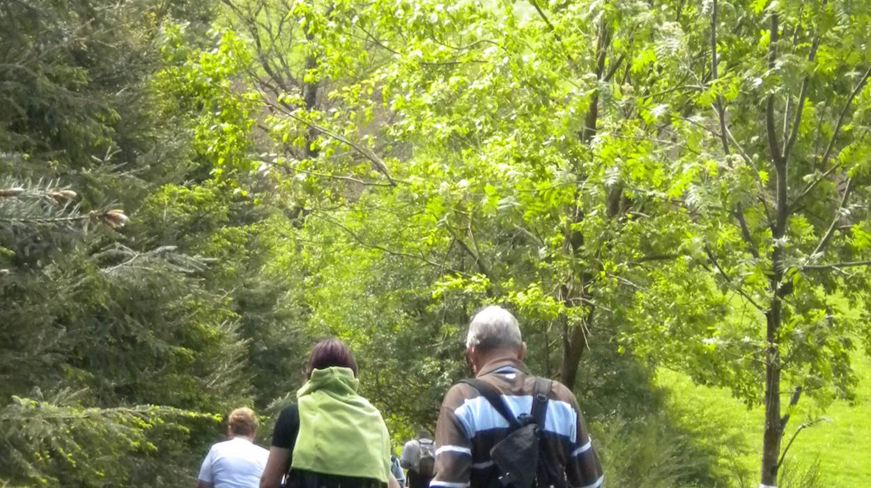 Terre de randonnée pour les marcheurs et VTT