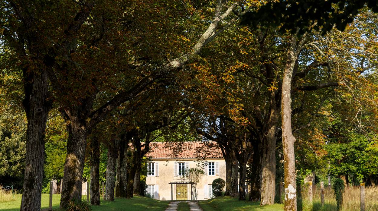 Au bout de l’allée apparaît le Château de Seugnac et la magie du grand jour