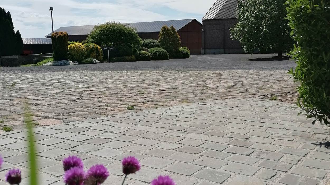 en sortant du gîte...
