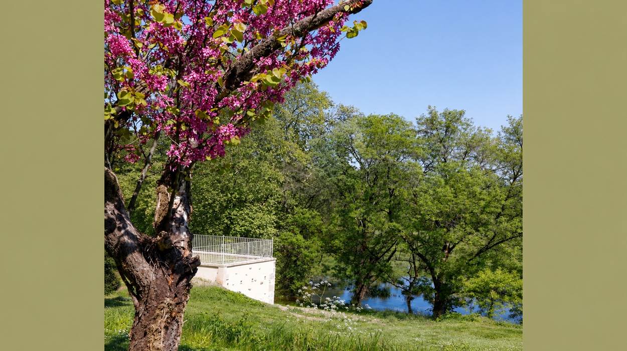 Le Château de Seugnac domine les paysages de la vallée de la Seugne.