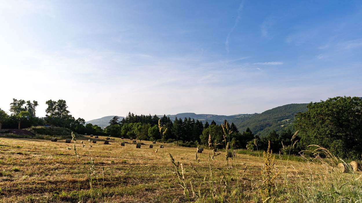 Ambiance champètre - La Villa des Raspes