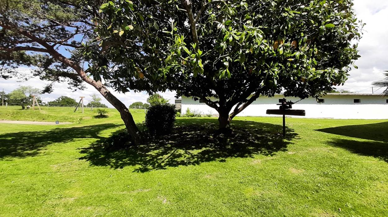 Parc arboré HORIZON DES LANDES DOAZIT