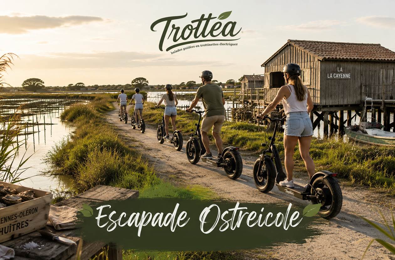 Escapade ostréicole