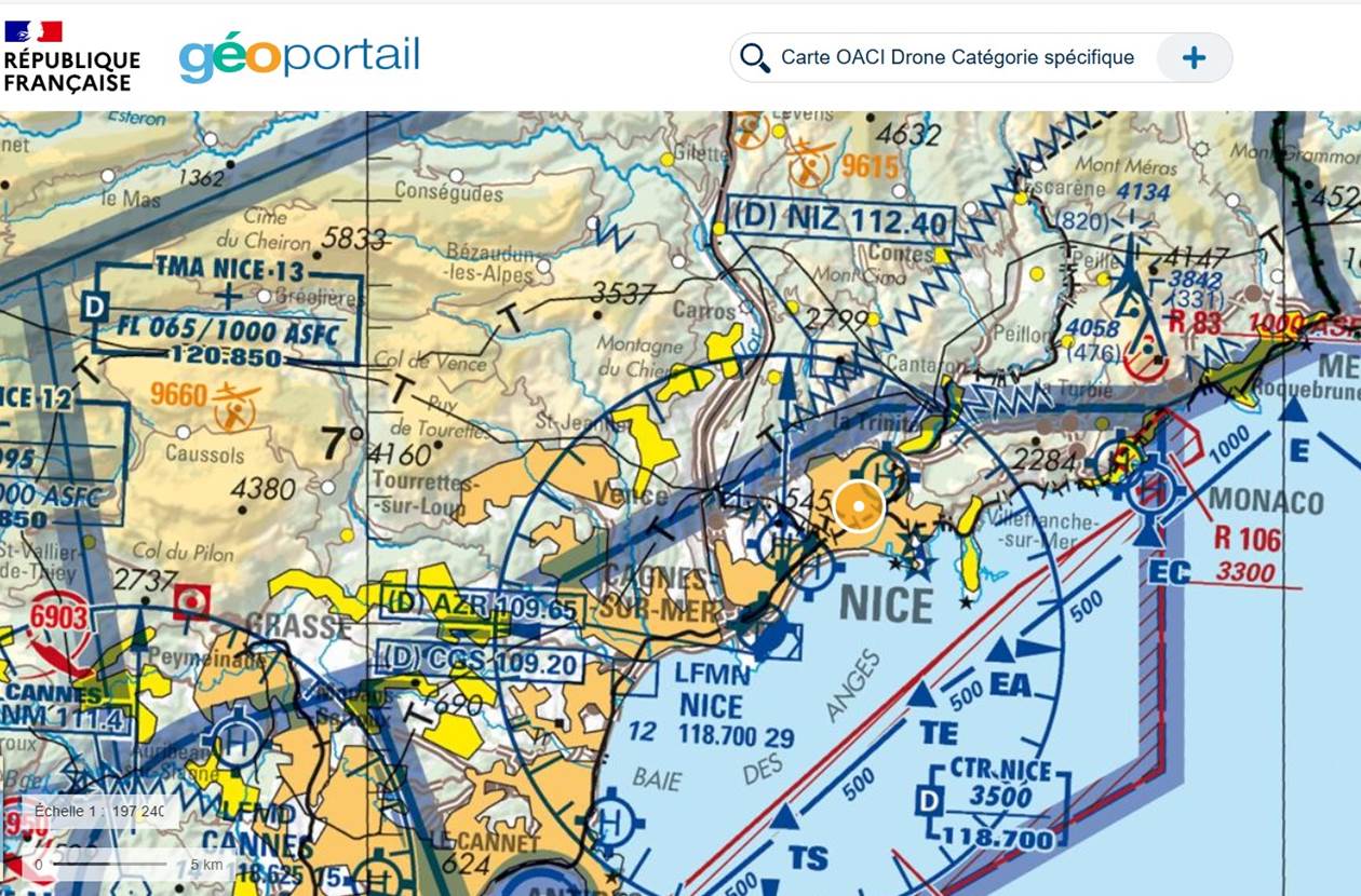 catégorie spécifique