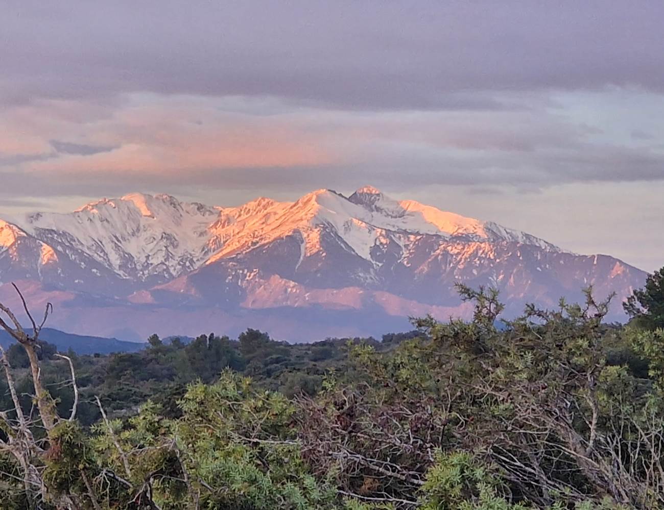 20230308_072149-min-photo-gallery