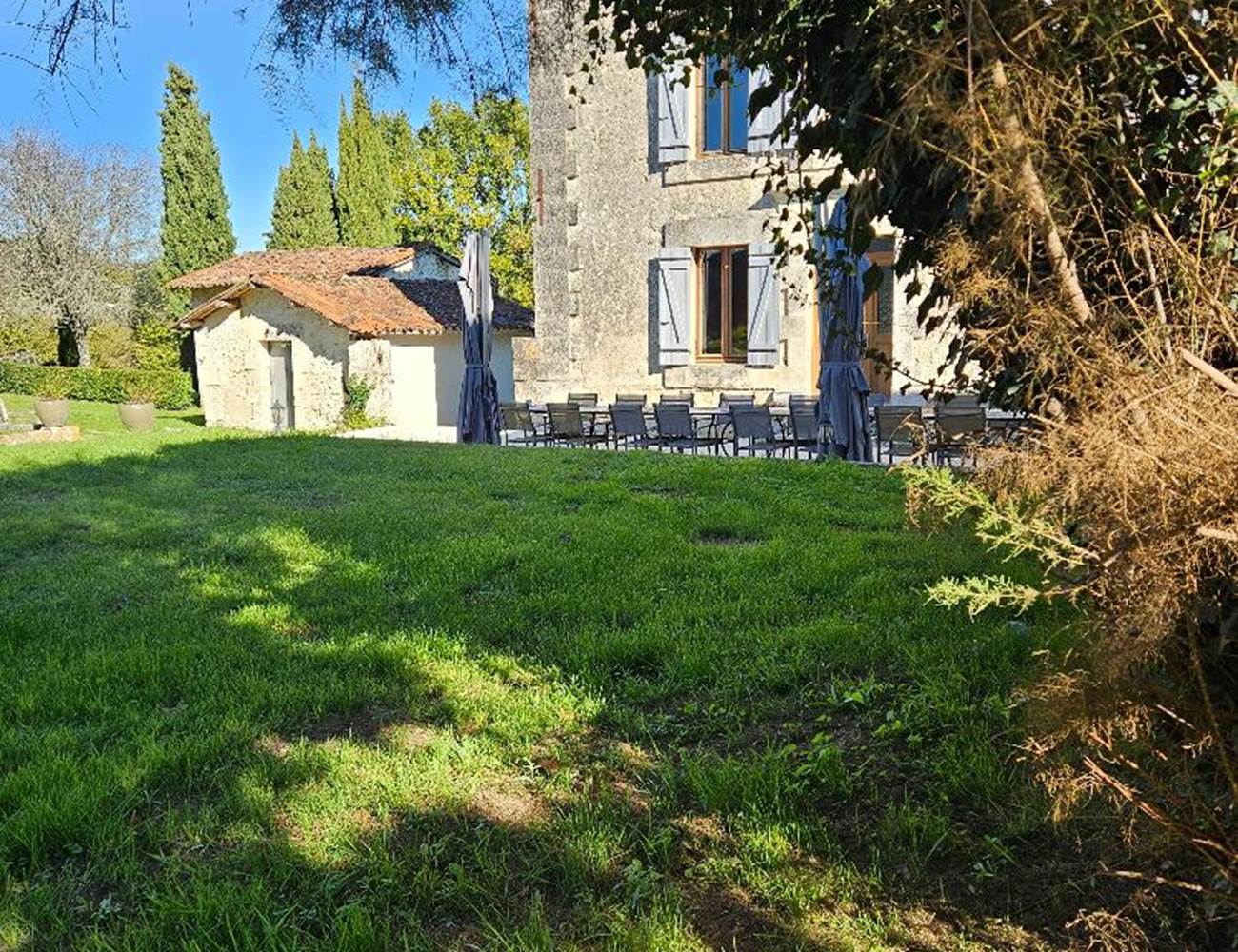 LB 2 Through the trees-photo-gallery