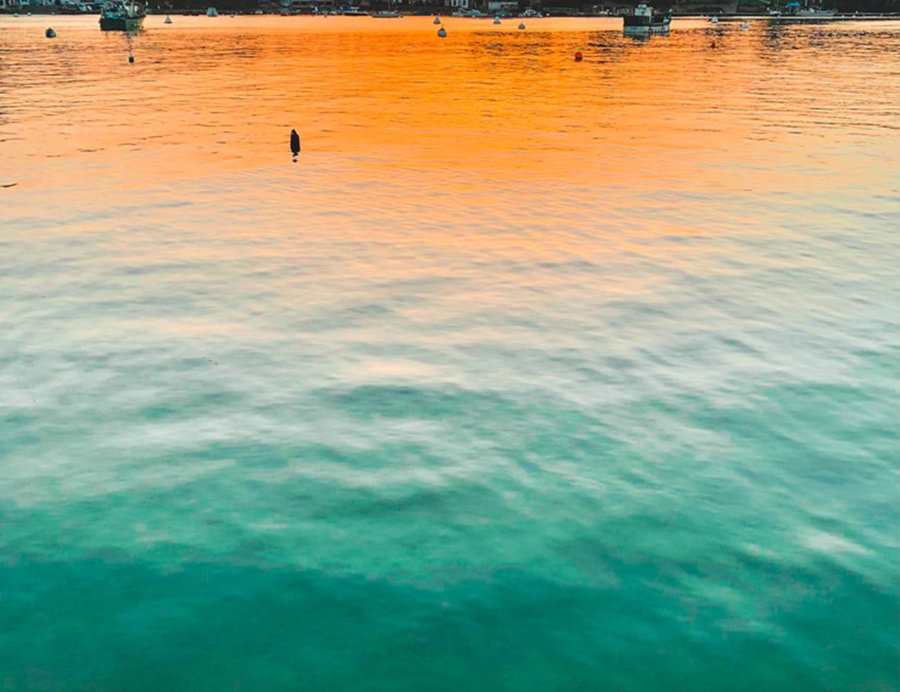 La rivière de l'Odet et la vue sur le petit Port de Sainte-Marine-photo-page