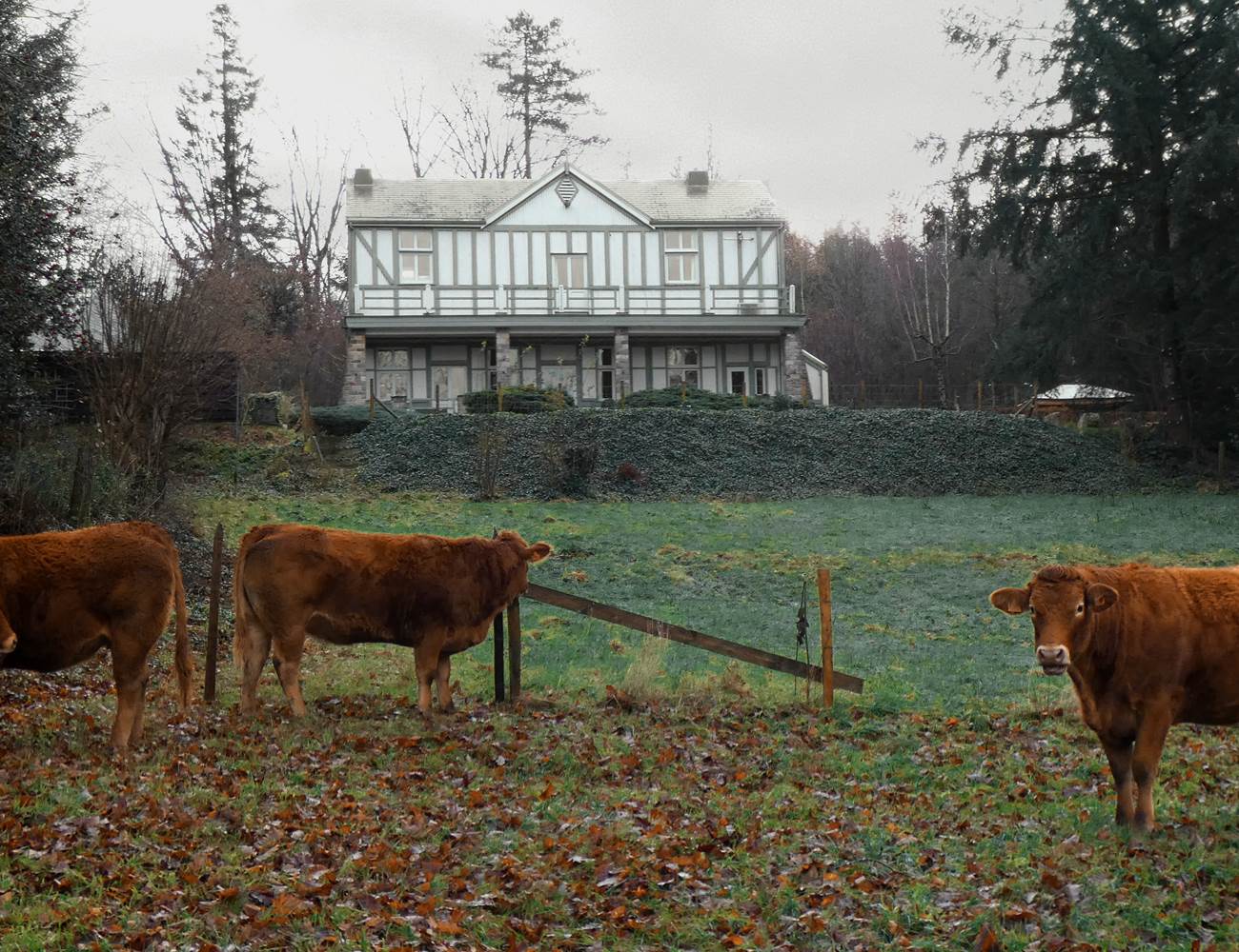 P1050095 - Copie copier-photo-gallery