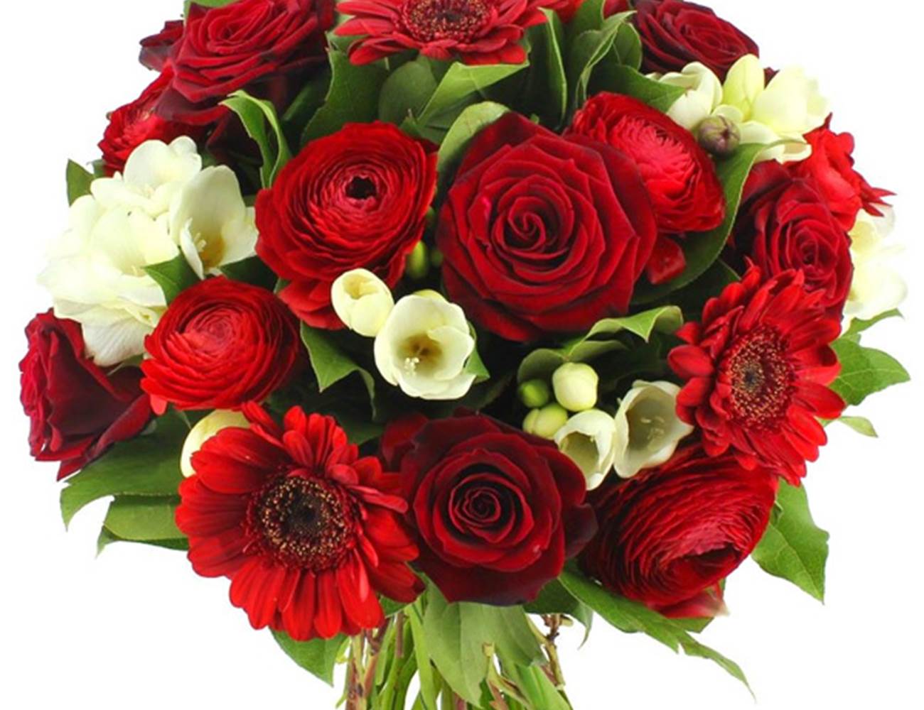 image-photo-news