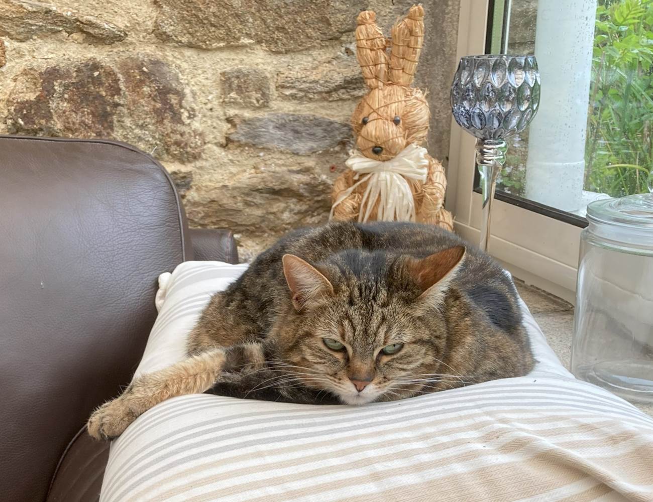 Enka ... en pleine action