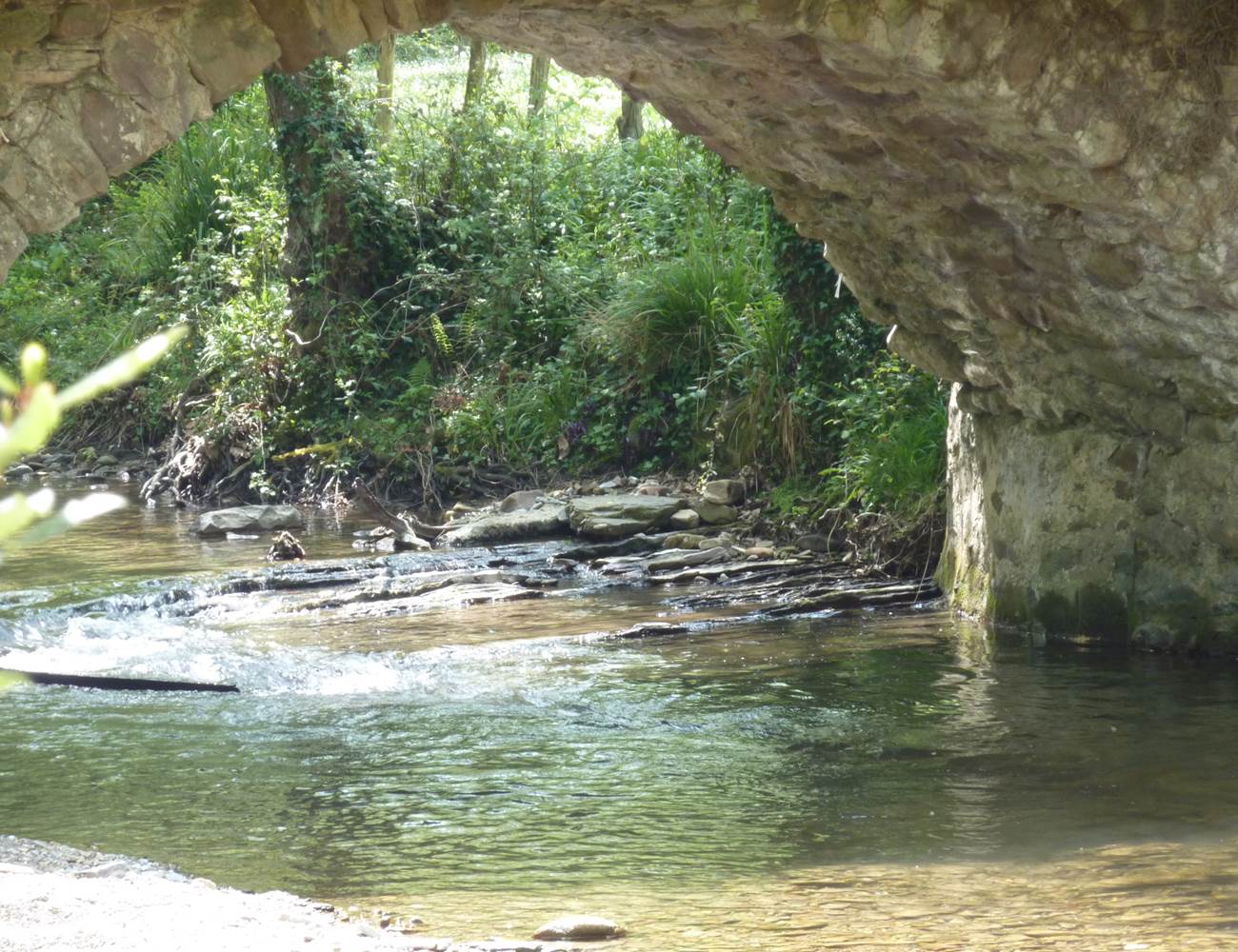 le pont de la maison-photo-gallery