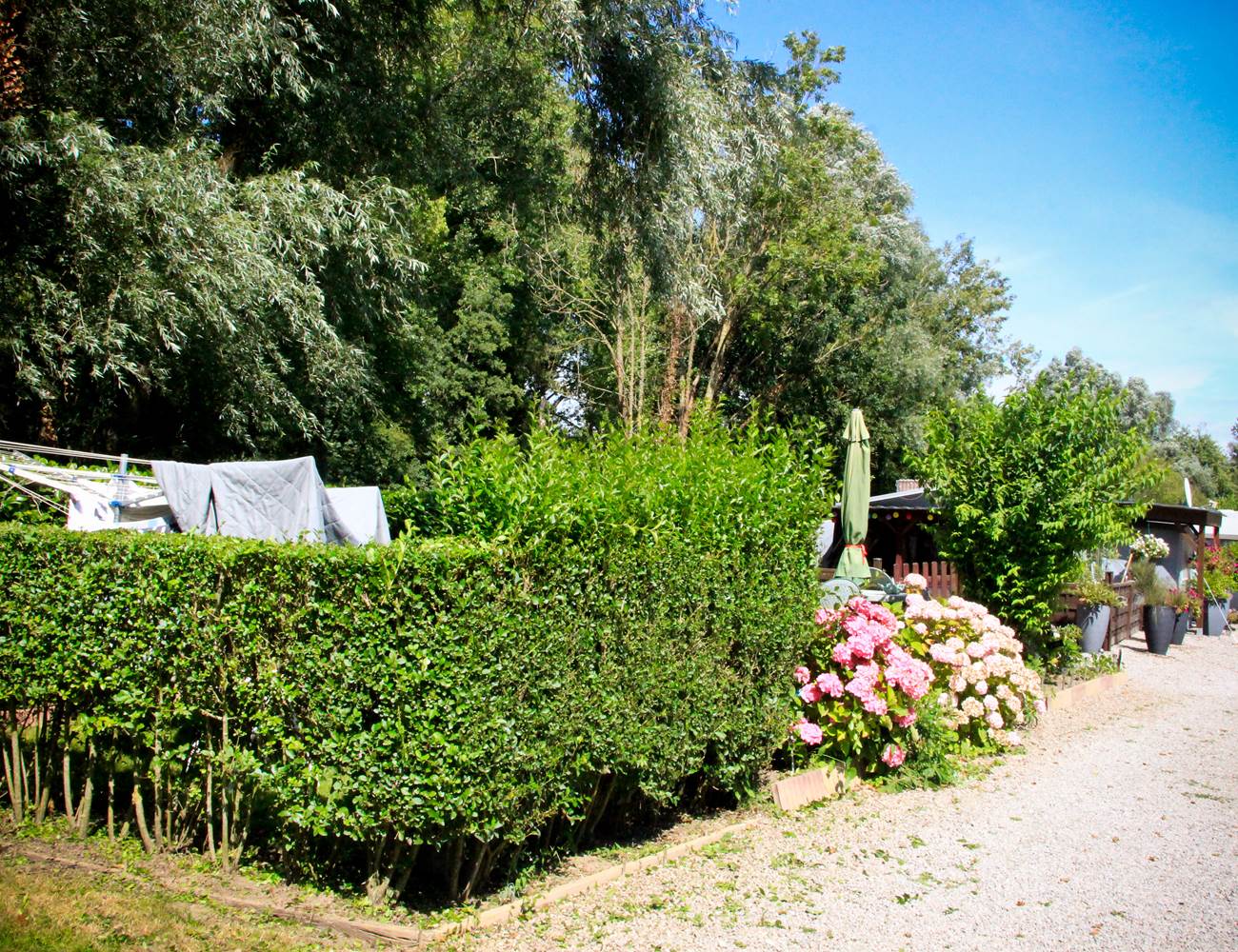 Verdure-photo-gallery
