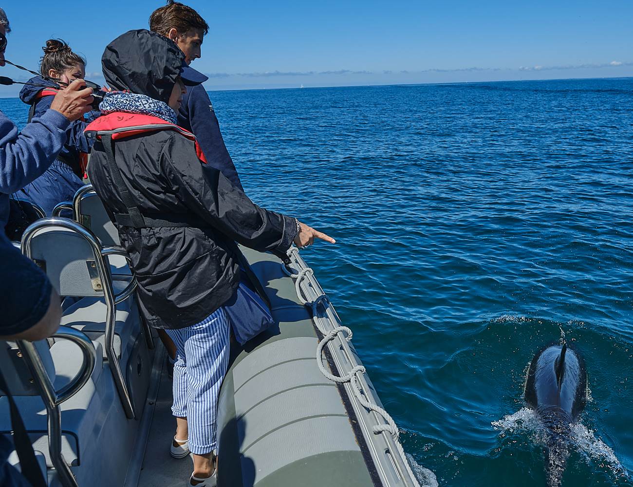 Au plus prés des éléments  pour des observation nature