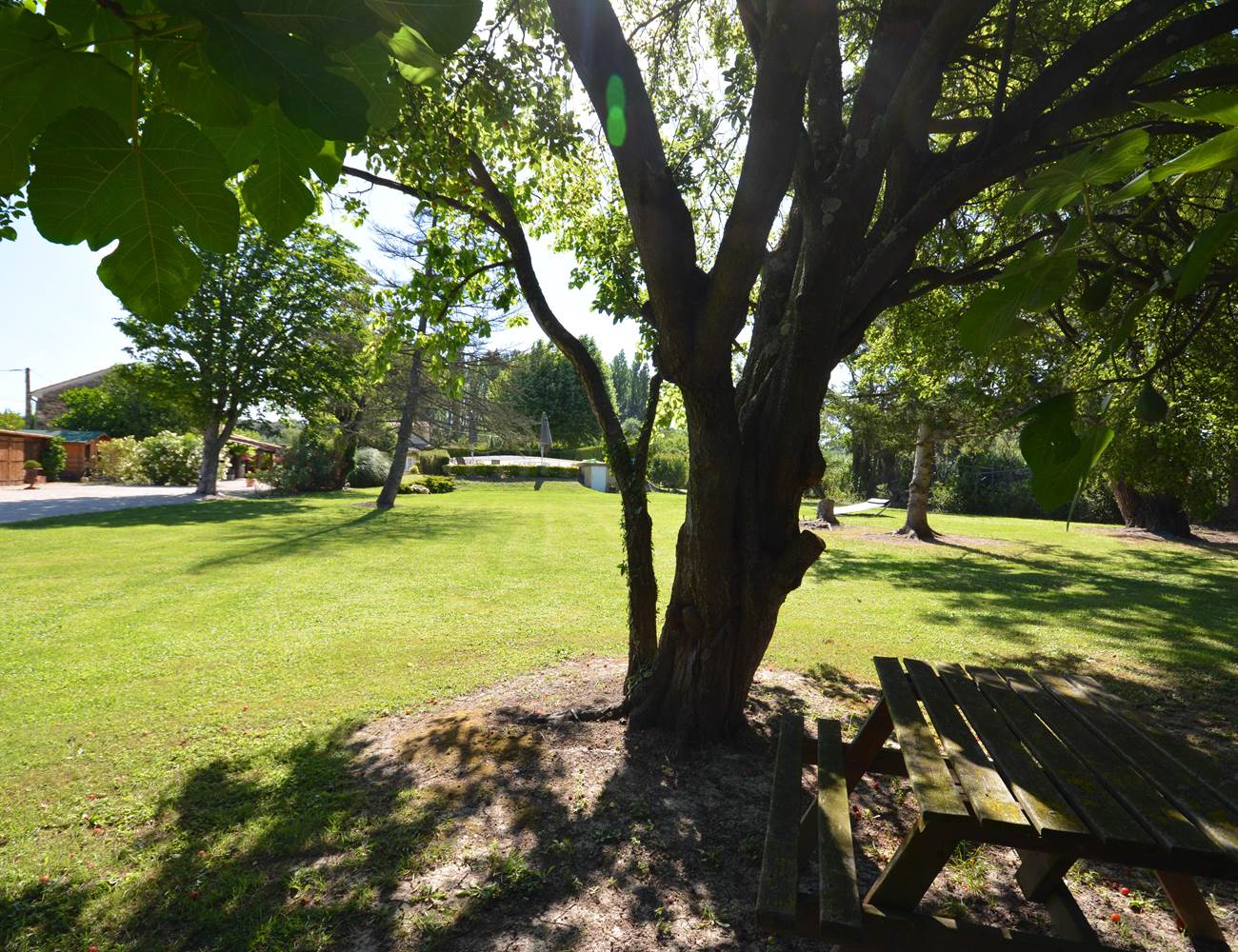 le parc ombragé du Mas Julien-photo-gallery