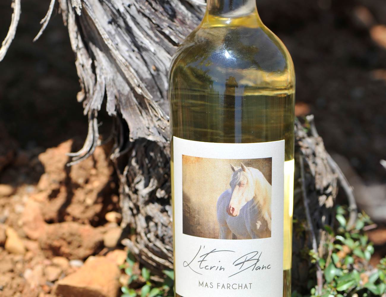 L'Écrin Blanc du Mas Farchat-photo-page