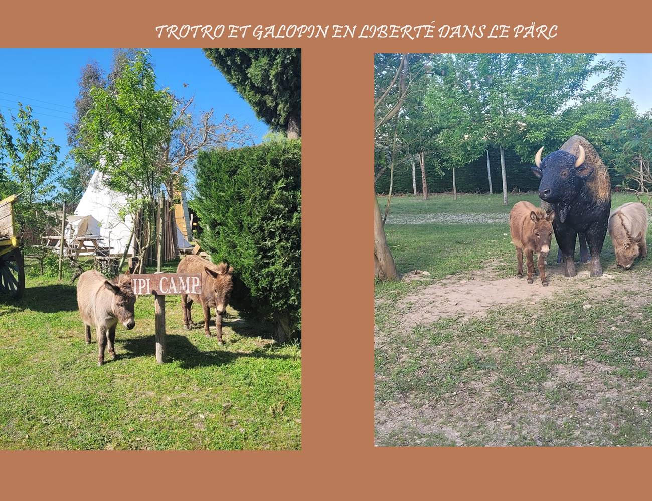TROTRO_Original-photo-gallery