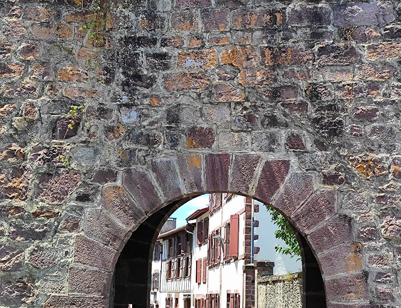 1737804934301-photo-gallery