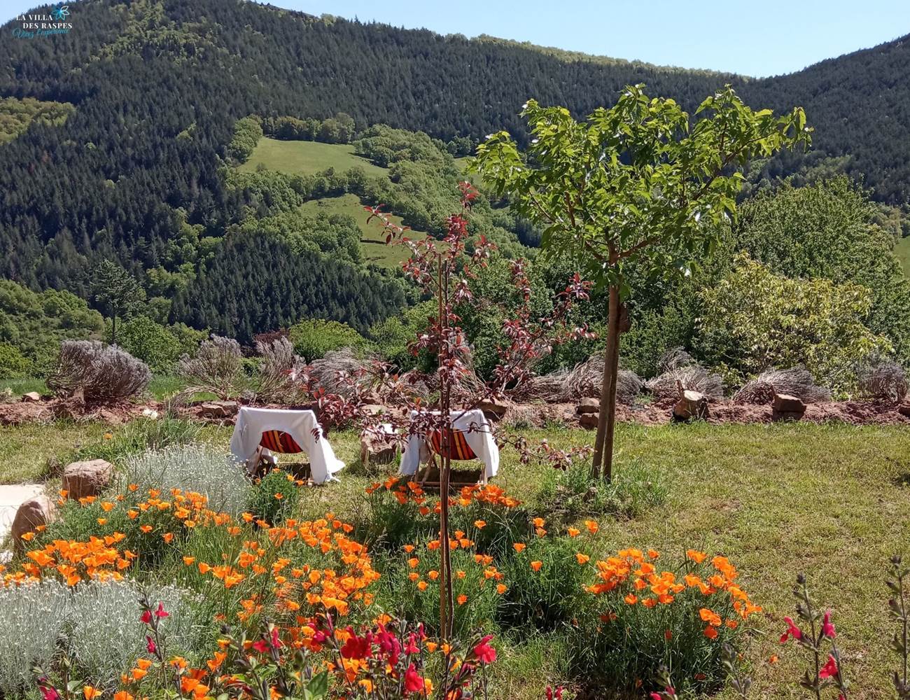Jardin - La villa des Raspes-photo-gallery