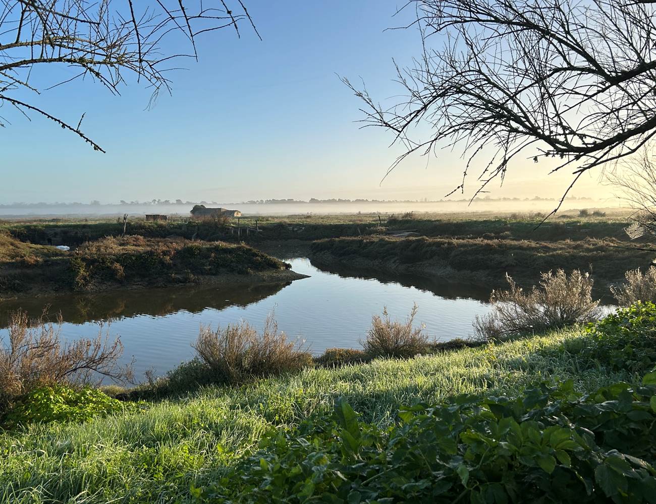 Balade dans les marais salants au départ de Maison Ginette-photo-page