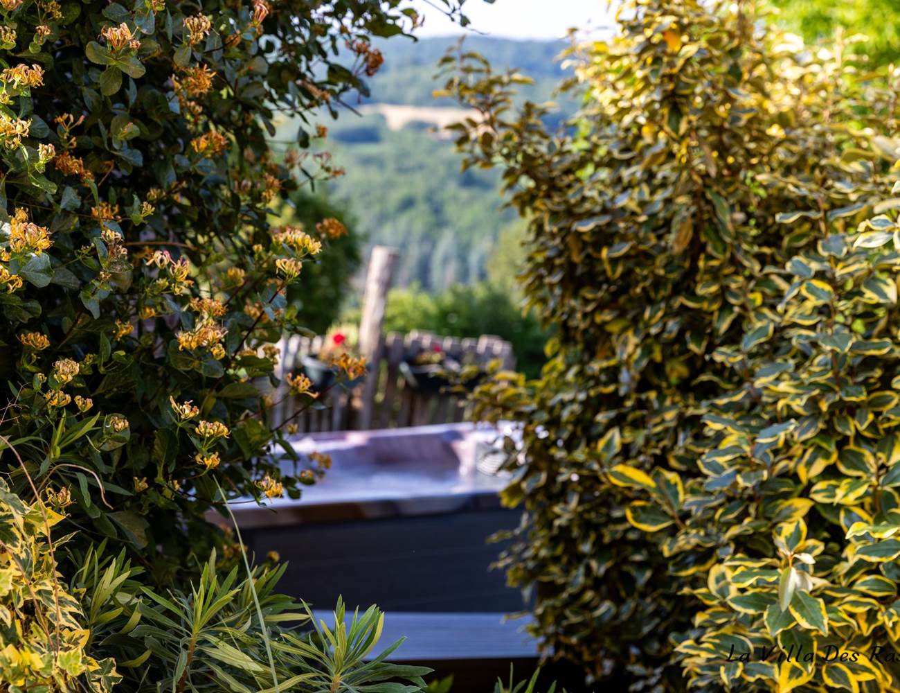 Vue Spa nature-photo-gallery