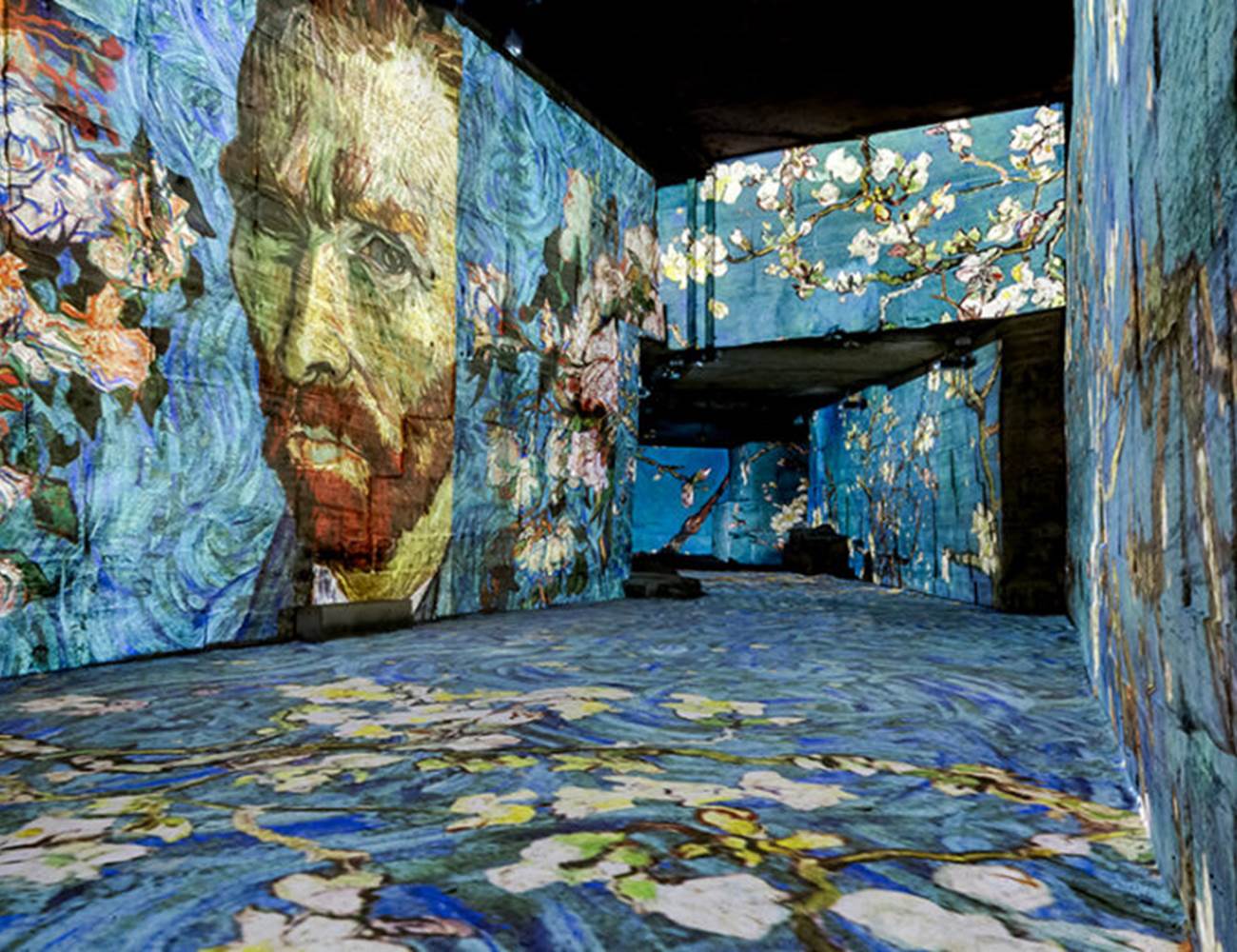 Les-Carrières-de-Lumières-Baux-de-Provence