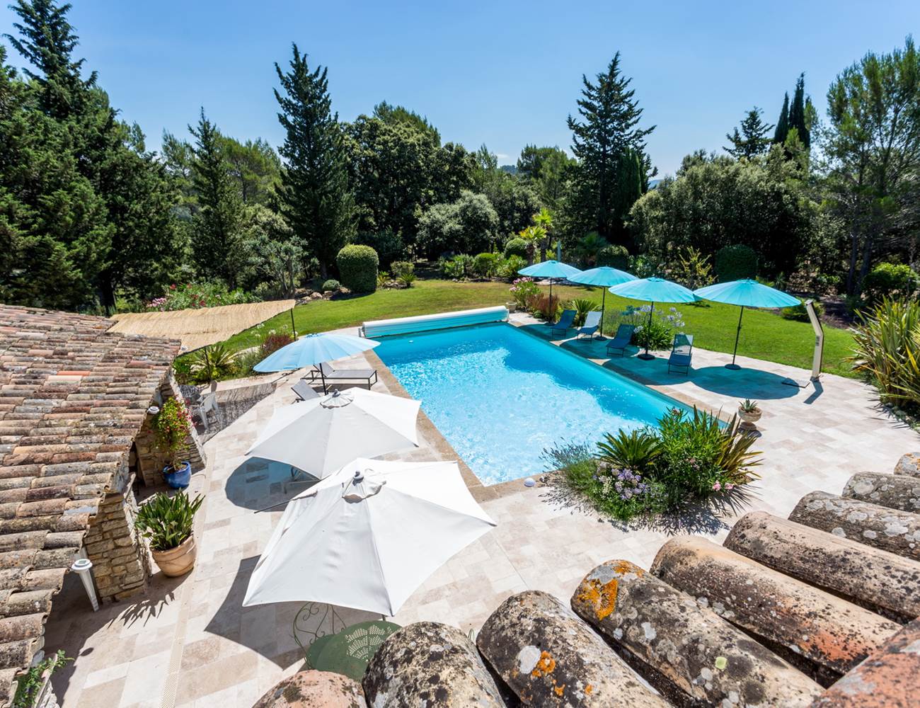 Jardin + piscine_vue terrasse-photo-gallery