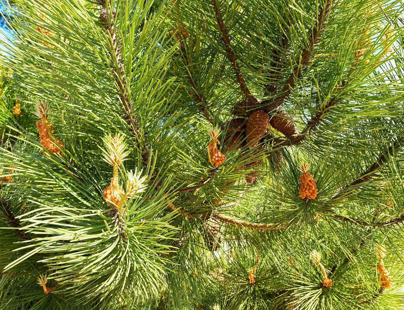 DSC_3810-photo-gallery