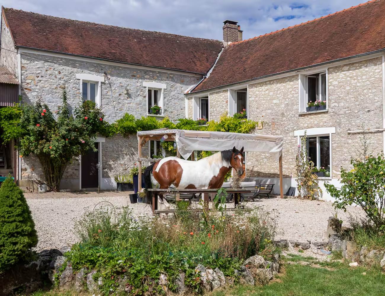cheval-photo-gallery