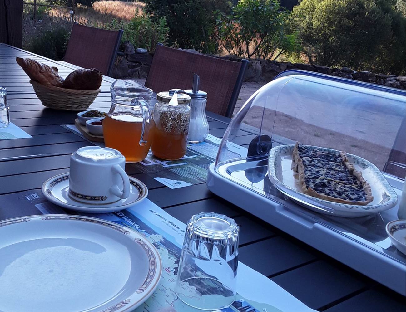 20251009_120518-photo-gallery