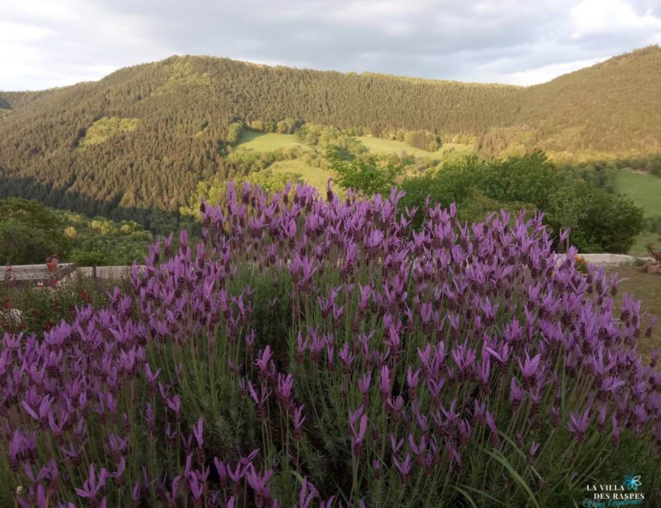 Jardin fleurie et vue imprenable - La villa des Raspes-photo-gallery