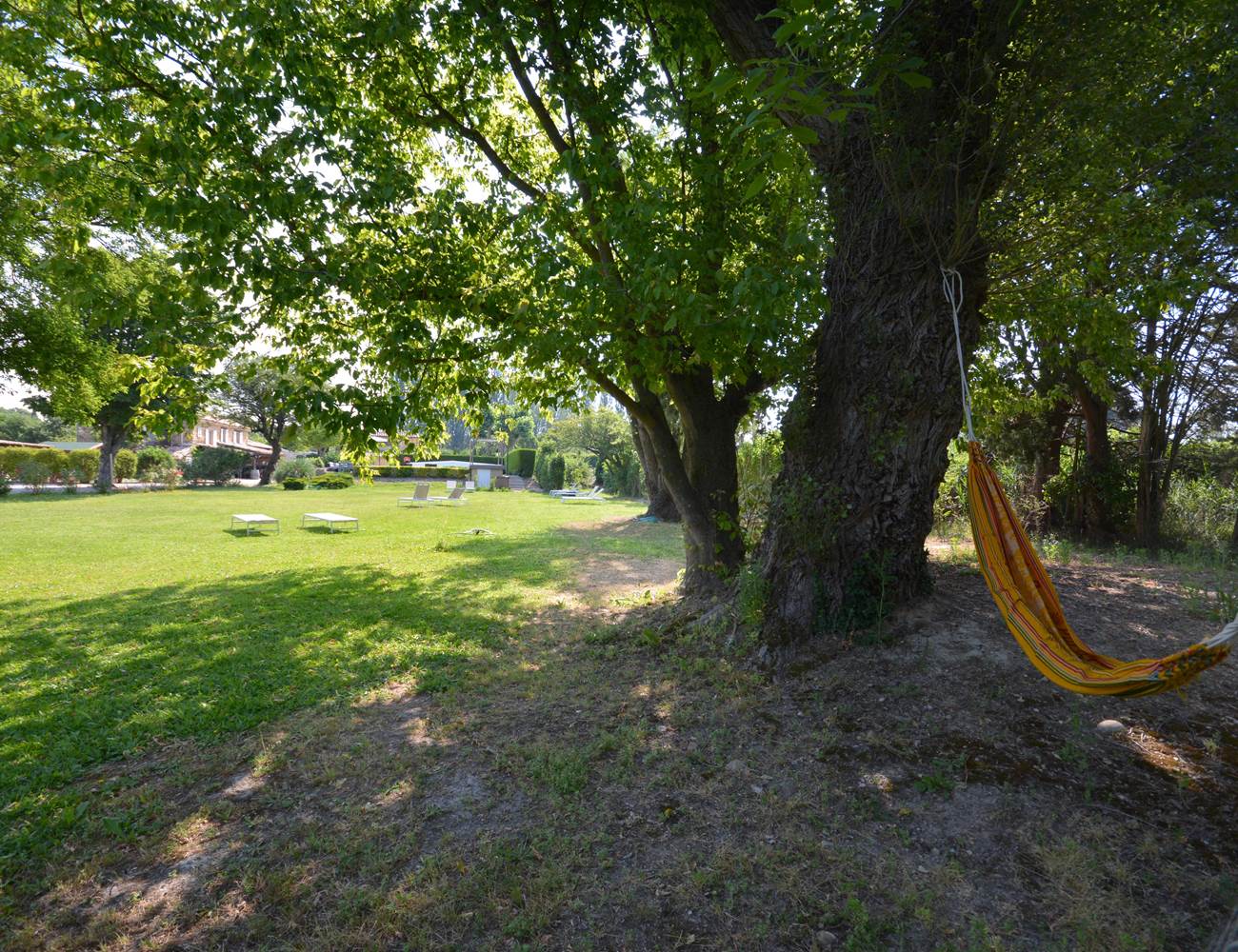 DSC_9179-photo-gallery