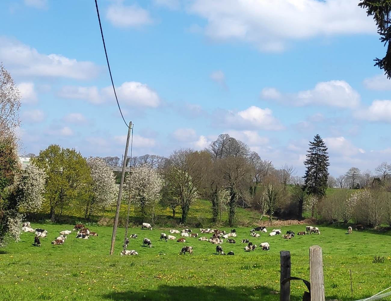 IMG_20230421_125442-photo-gallery