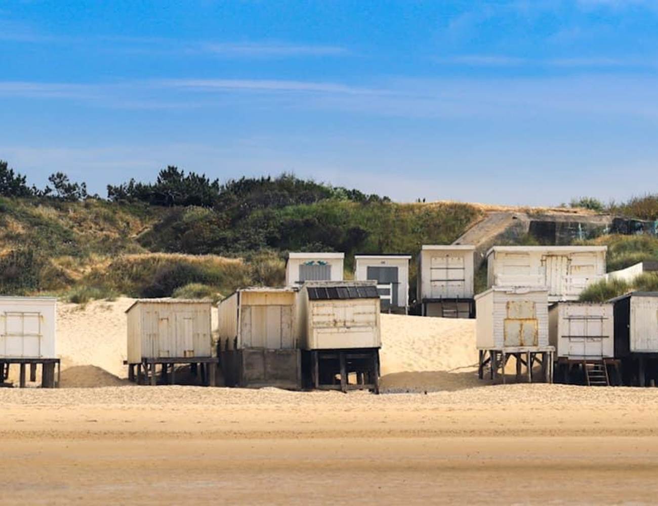 IMG_8813-photo-gallery