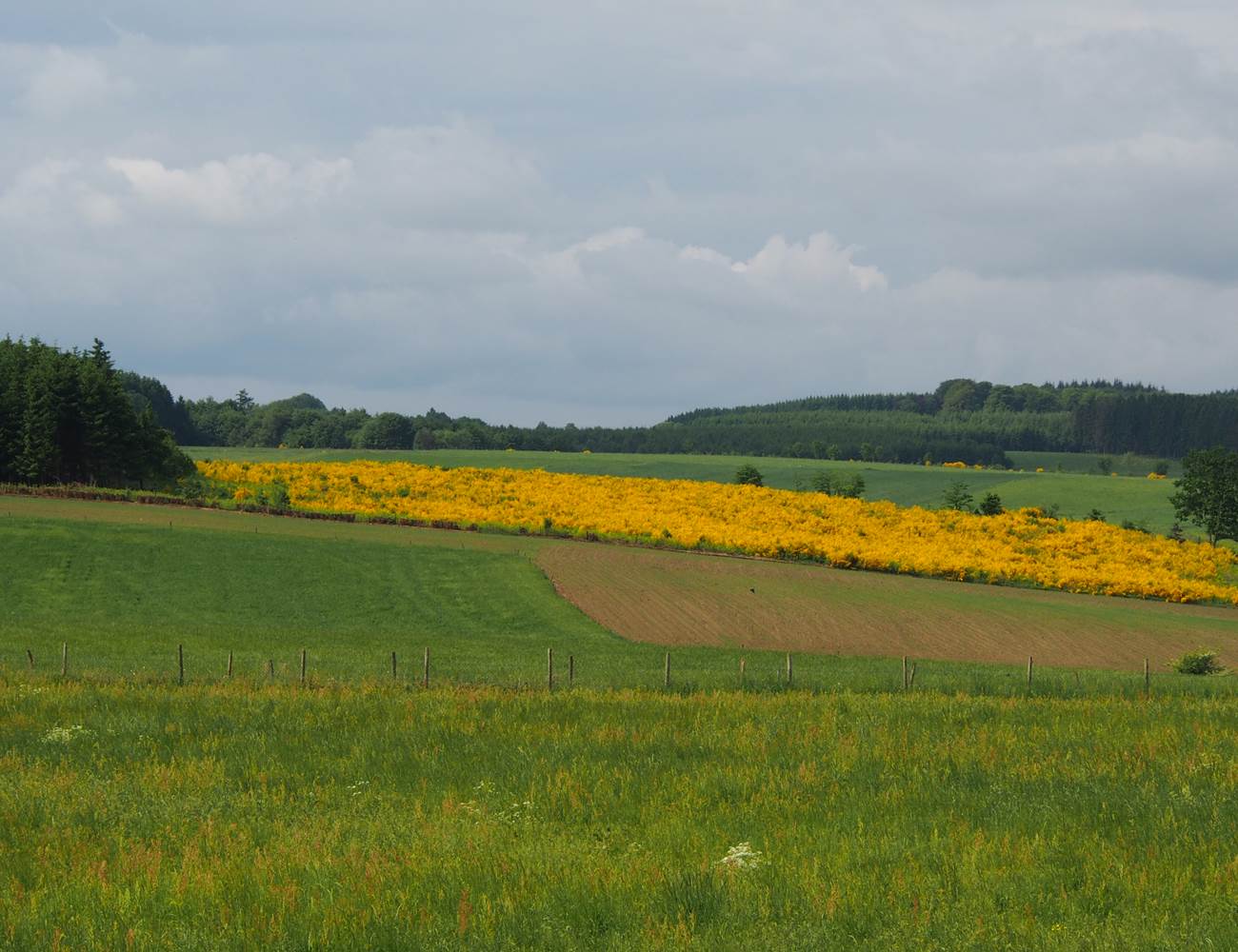 Vue depuis votre chambre à la Chabetaine au printemps-photo-gallery