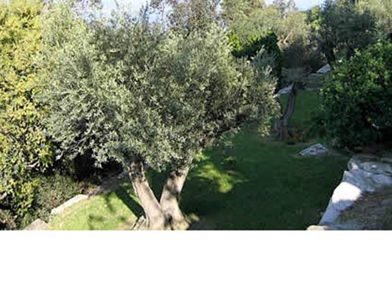 jardin en restanques-photo-gallery