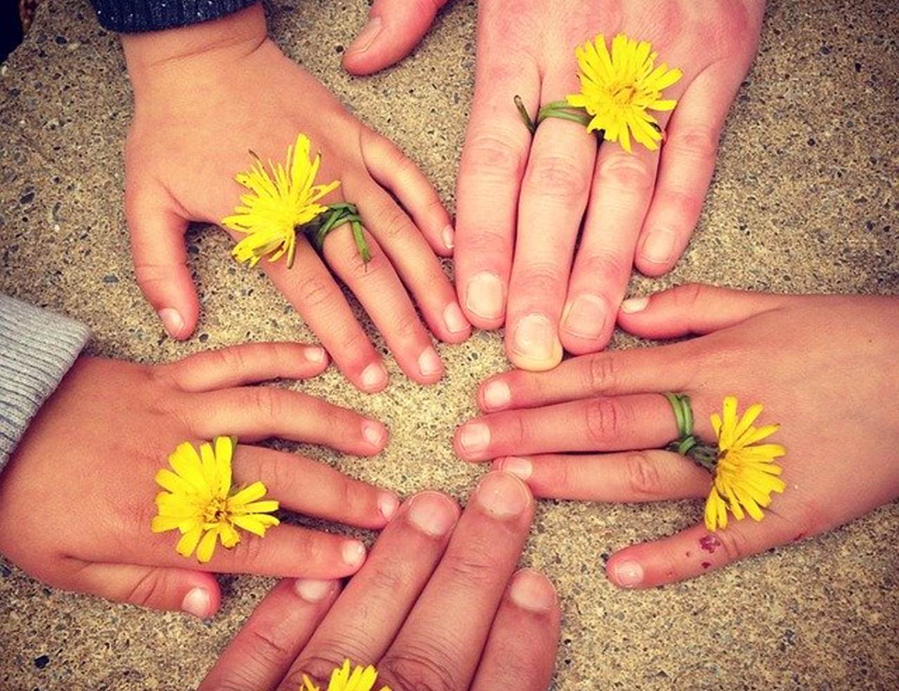 Se retrouver en famille-photo-gallery