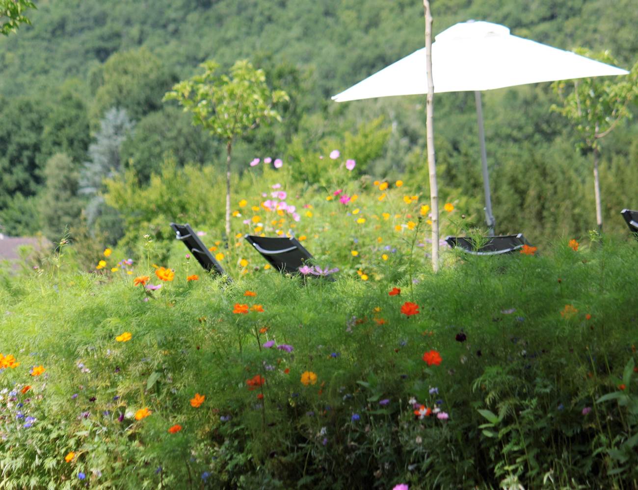 Berçeuse au milieu des jachères