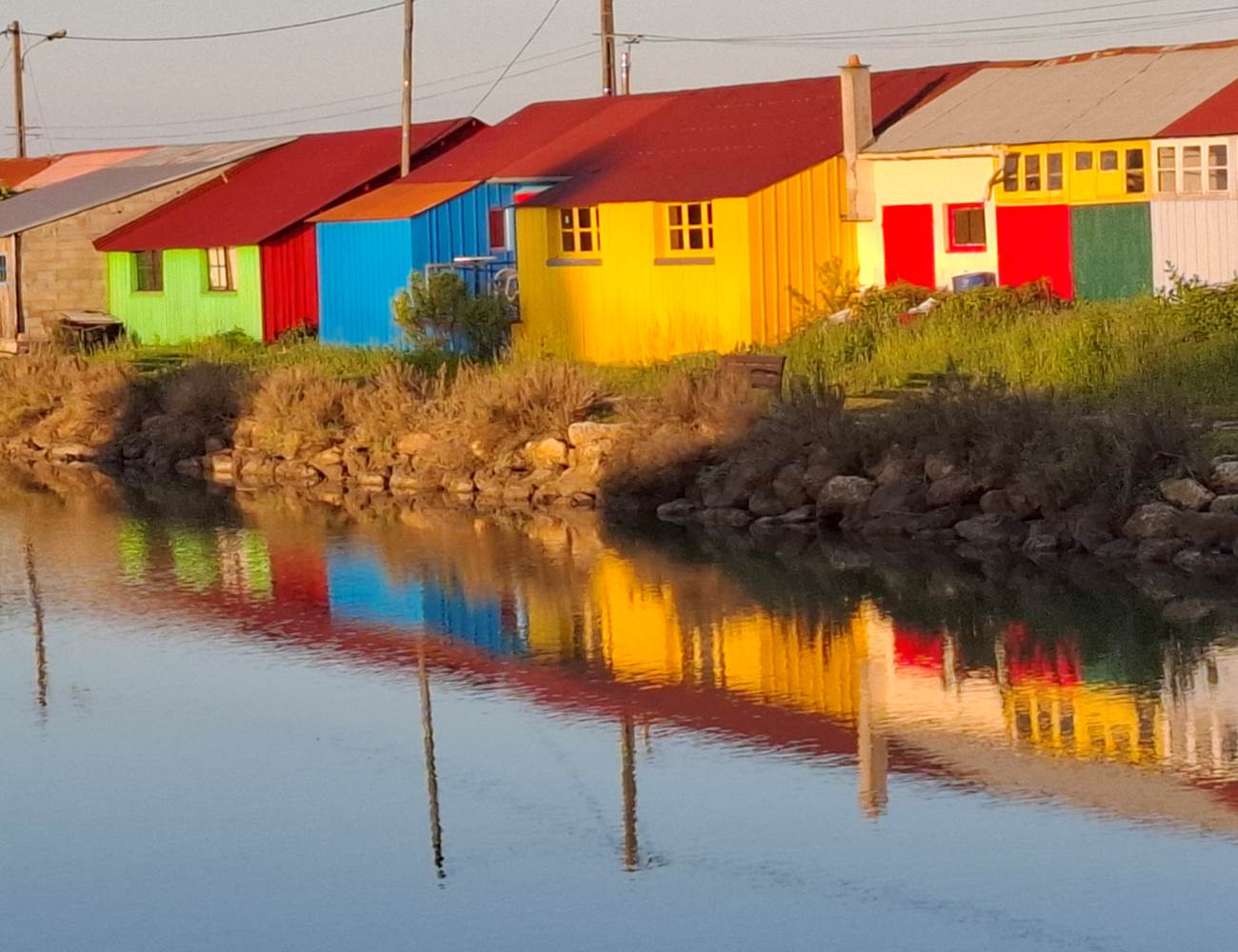 20250424_202518-photo-gallery