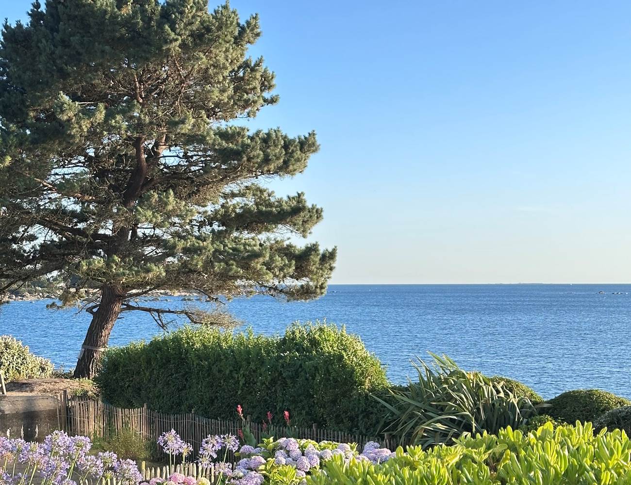 IMG_7077-photo-gallery