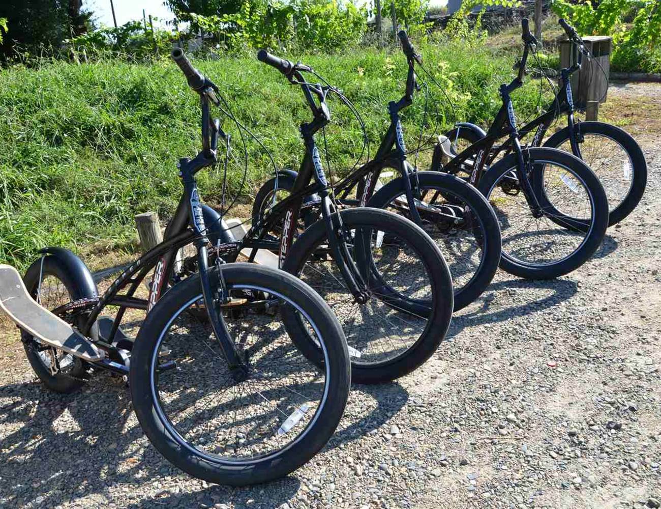 Vélos Steppers Pyrénées Atlantiques-photo-gallery
