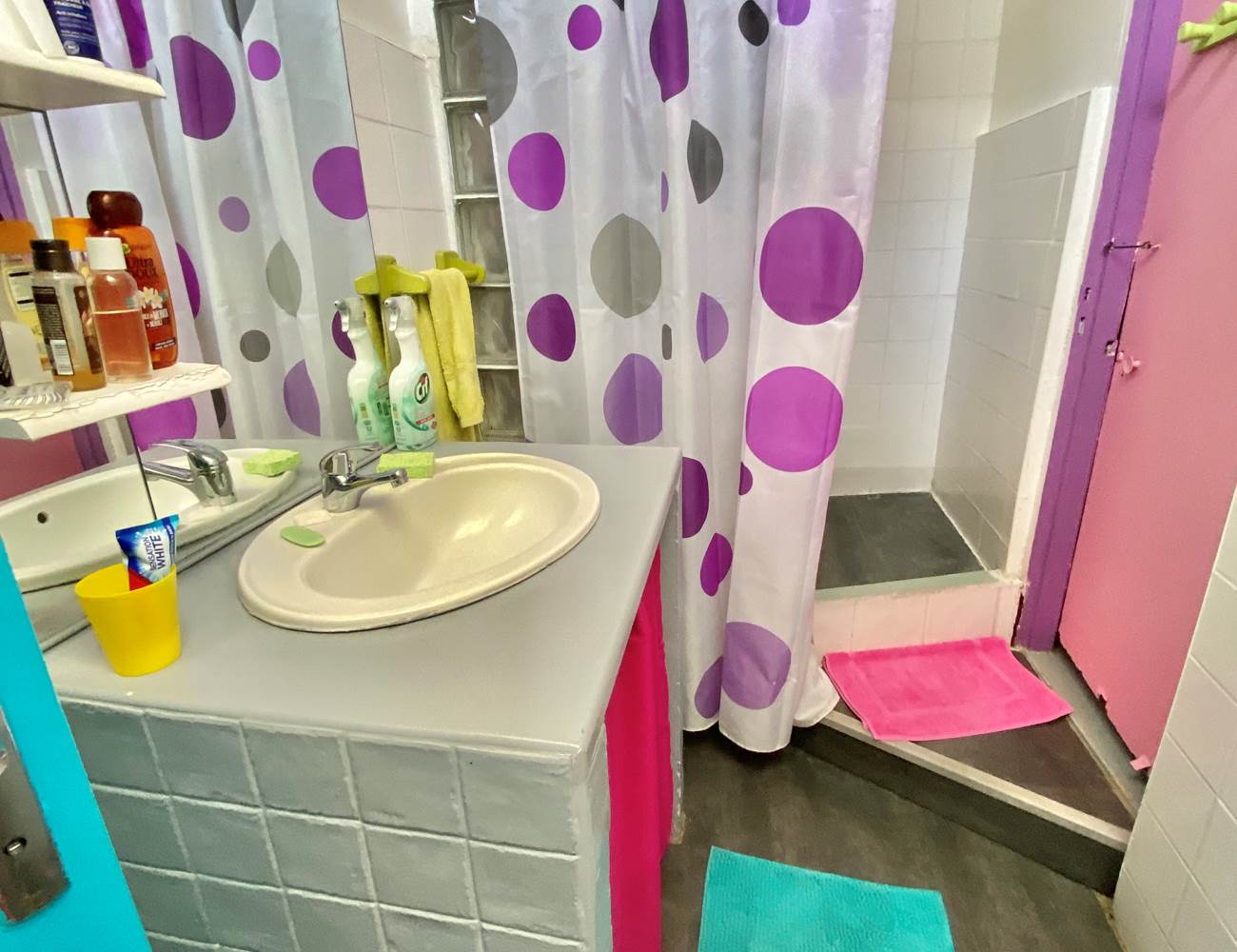 salle de bain à partager-photo-gallery