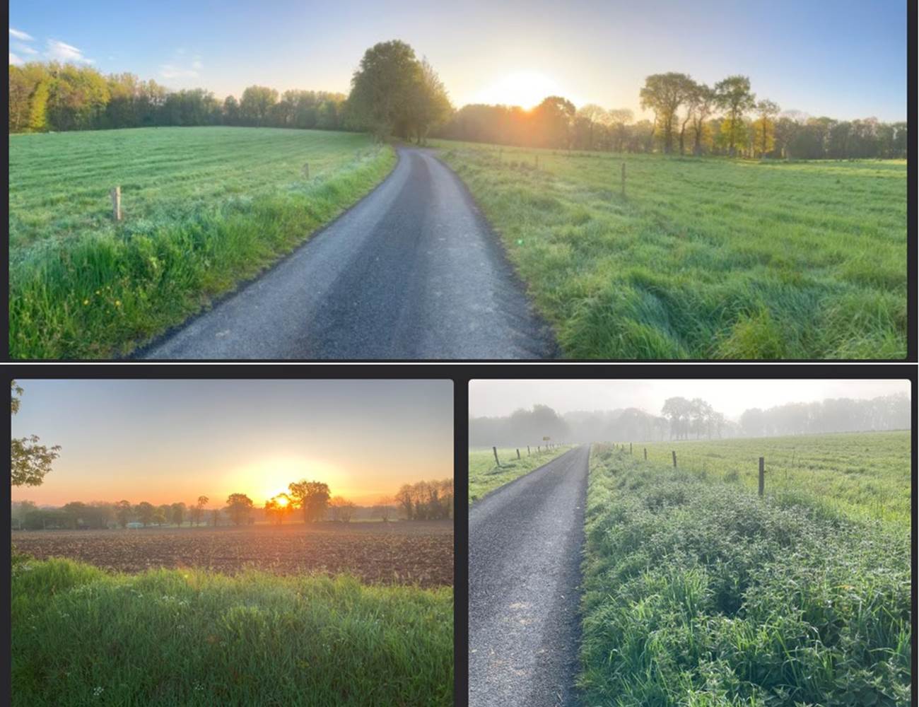 arrivée sur La Guyonnais ...