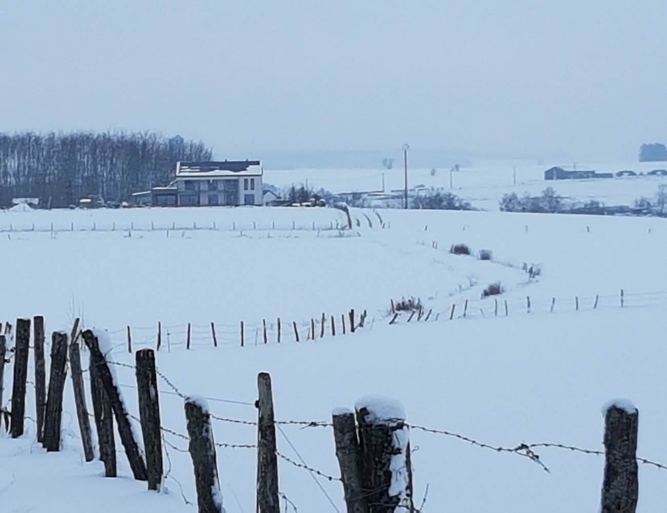 La chabetaine en hiver-photo-gallery