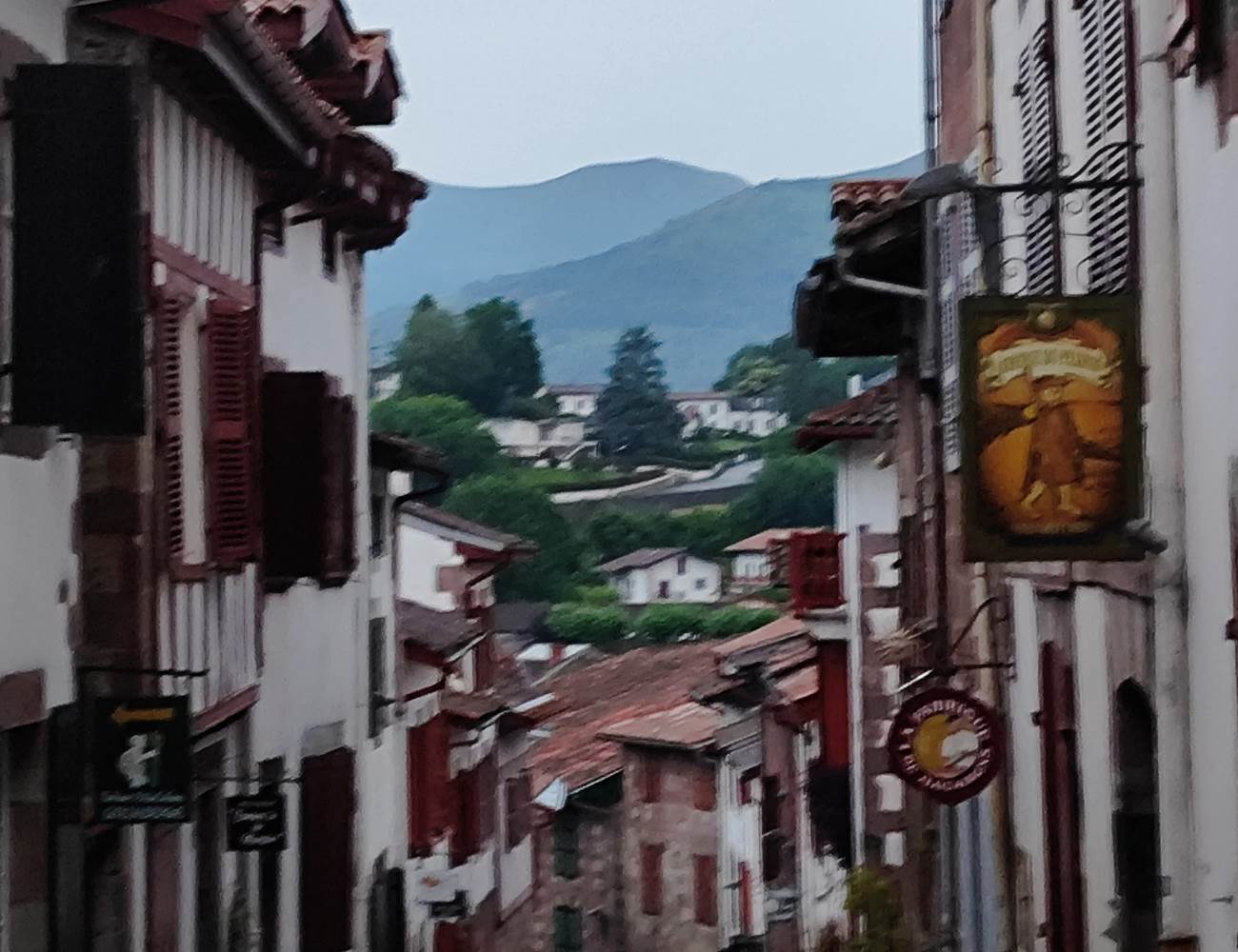 1719497837347-photo-gallery