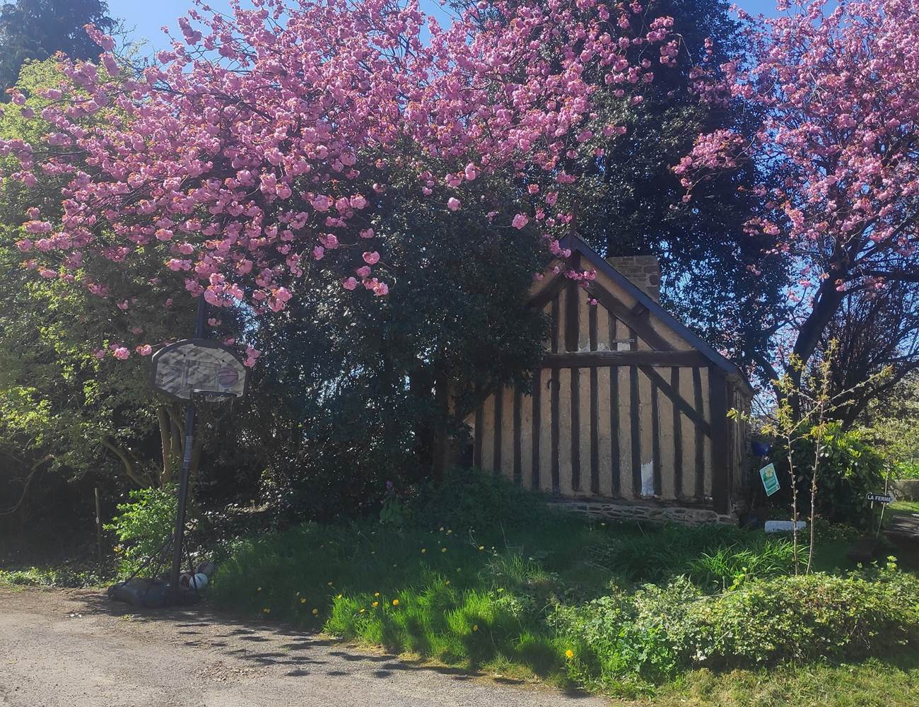 IMG_20230420_123658-photo-gallery