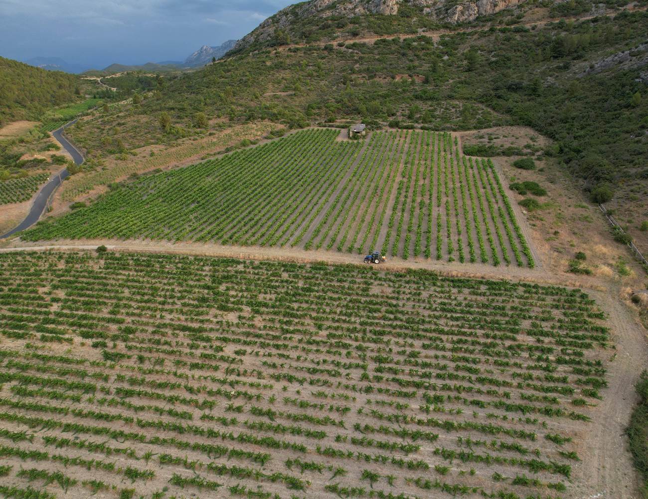 Moulère-min-photo-gallery